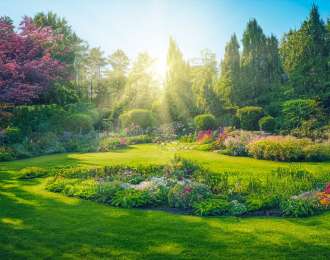 Zdjęcie aktualności Ogrodniku, chcesz mieć piękny trawnik? O tej jednej rzeczy nie możesz zapomnieć!